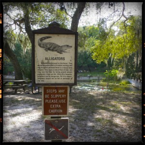 Silver Springs 1 300x300 The Town That Built Me Part One